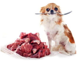 diet raw barf dogs dog meat usually